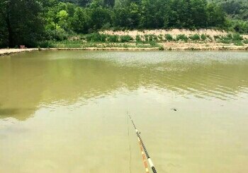 大申号垂钓园