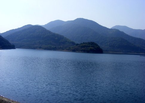 钓鱼岛餐饮垂钓中心