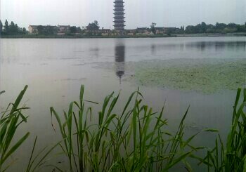 大桥人工湖北湖