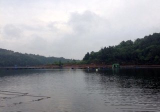 南漪湖合溪口钓段