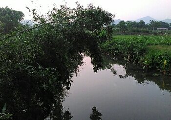 漠阳江支流云安段