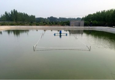 霍庄鱼塘
