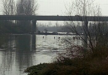 皇西水库垂钓中心