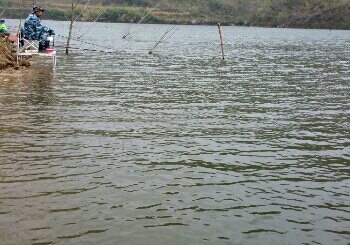 大悟高店张湾水库