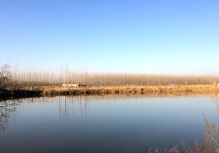 三合村休闲垂钓园