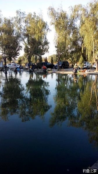 世外桃源钓鱼塘