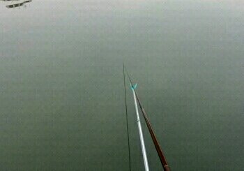 鞋都二期排水河