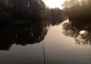 贡湖湾湿地公园