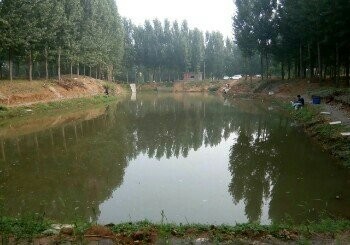 赵家颜子垂钓竞技场