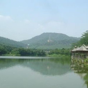 观澜湖休闲垂钓度假中心