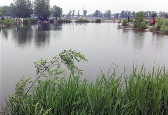 林海风情垂钓园