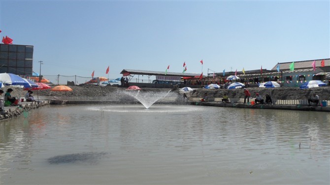 七里海旭莉垂钓园