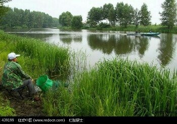 新通扬河一号桥垂钓