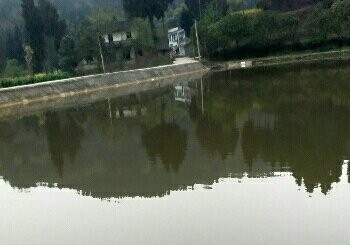 永兴二大六赌塘