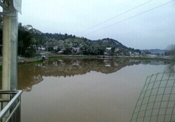 蔡本军生态鱼场