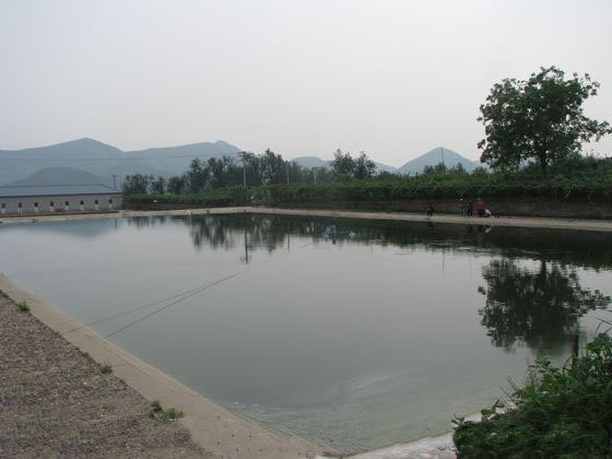 聚宝垂钓园