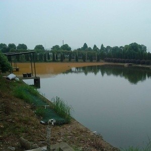 太仓港城垂钓俱乐部