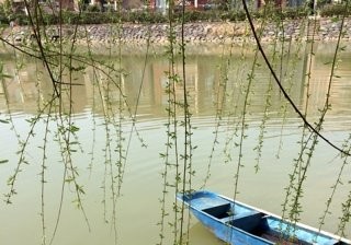 缸窑村钓鱼塘