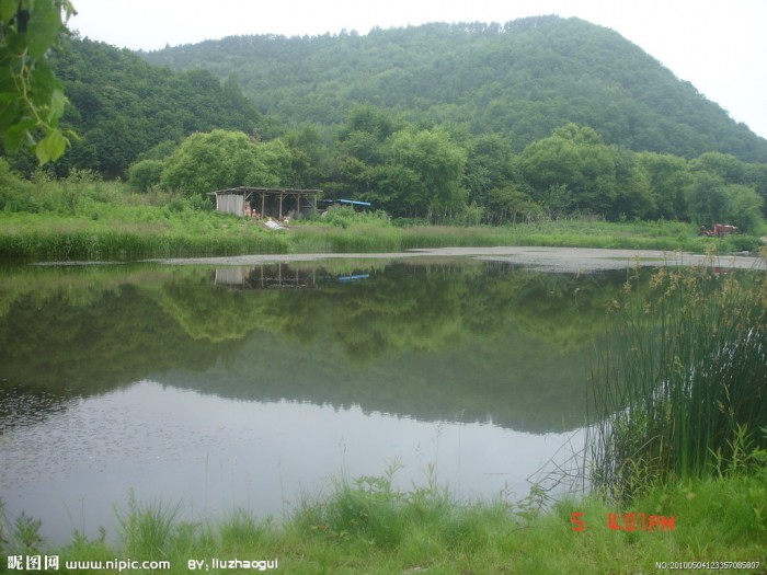 河水龙水库