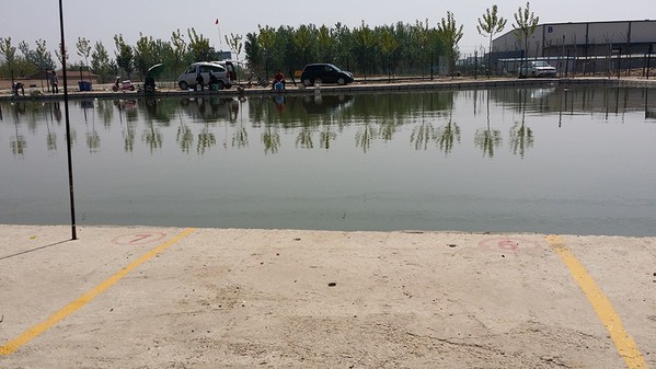 咱家果蔬专业合作社