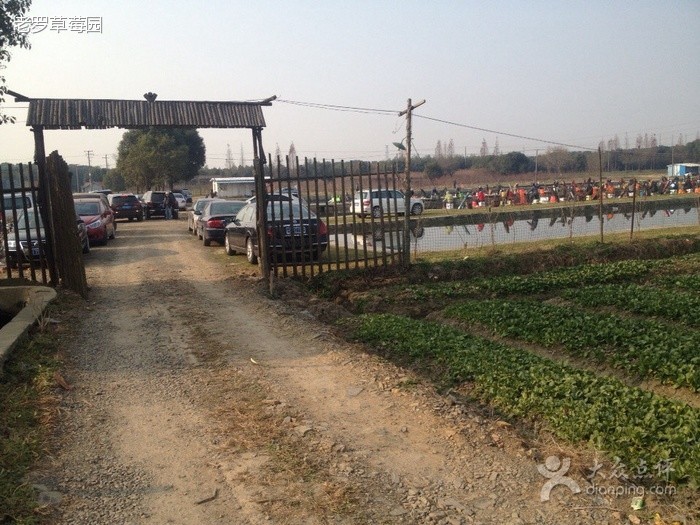 品忠休闲垂钓俱乐部