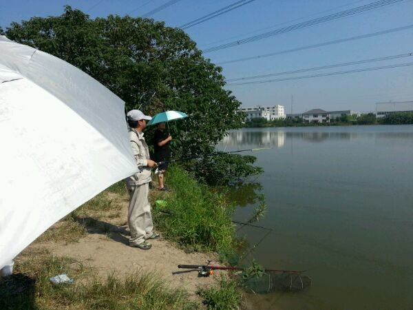 光华路野钓