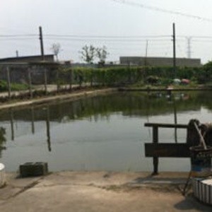 封浜老李垂钓中心