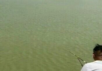 丰州兄弟钓鱼场