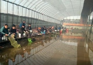 强子垂钓园