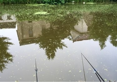 东社闸河支流