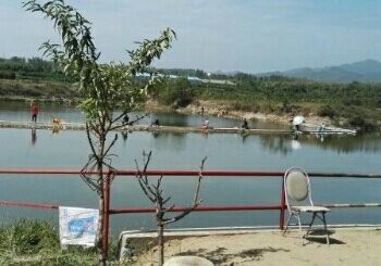 杨岗垂钓园