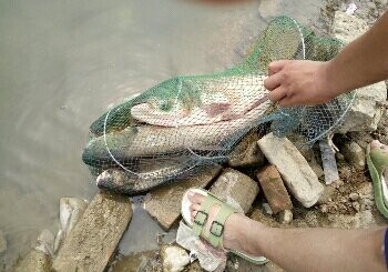 恒大绿洲南北岸