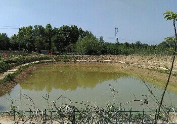 绿源农家乐城南垂钓园