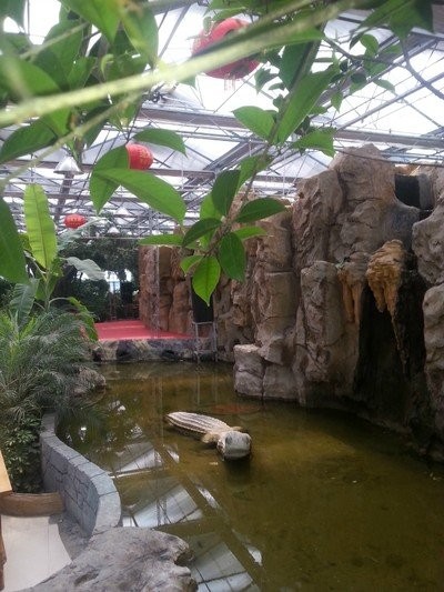 杭淠湾生态餐厅