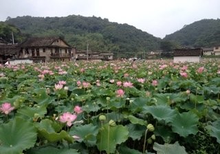 来山背农家乐