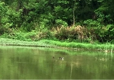稠城街道后余村水库