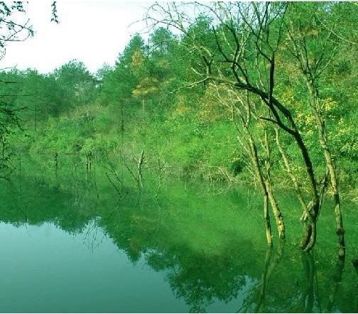 绿色食代农家院钓鱼台
