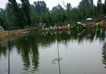 宝泉和谐垂钓园