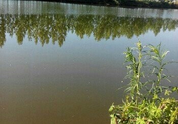 兴旺一世缘鱼场