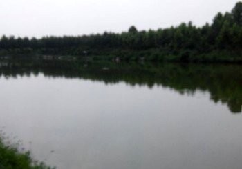 蔡河桥垂钓中心