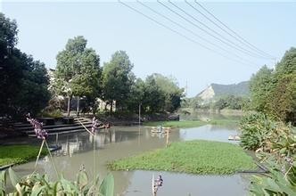 塘泾洋垂钓中心