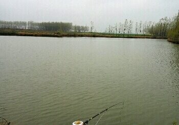 生产队鱼苗塘