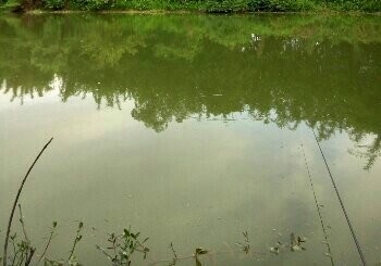 东江河水口蓬凌段