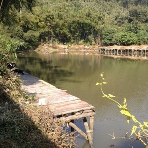 荔枝山健康养身钓鱼场