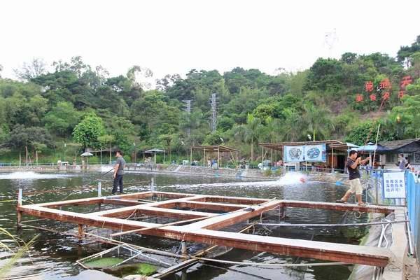 五强溪诚信筏钓