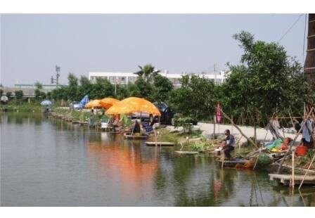 白云南村钓鱼场