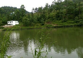 猫跳河杨武沟段