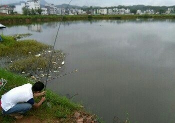 旱塘村林峰钓场
