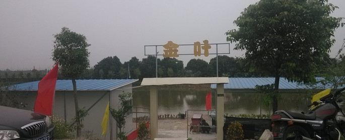 金叶钓鱼场