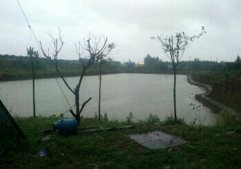 陈武谷河弯武林泉垂钓中心